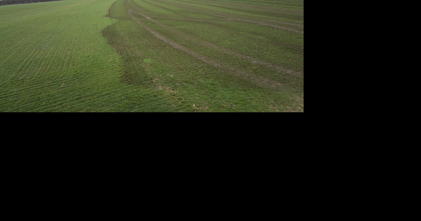 Proper Manure Sampling Can Offer Better Nutrient Use Efficiency | Dairy ...