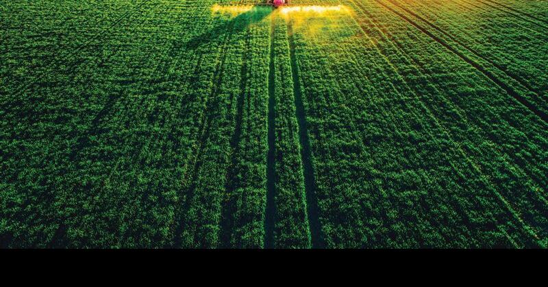 Considering Dry Weather and Temperature When Applying ...