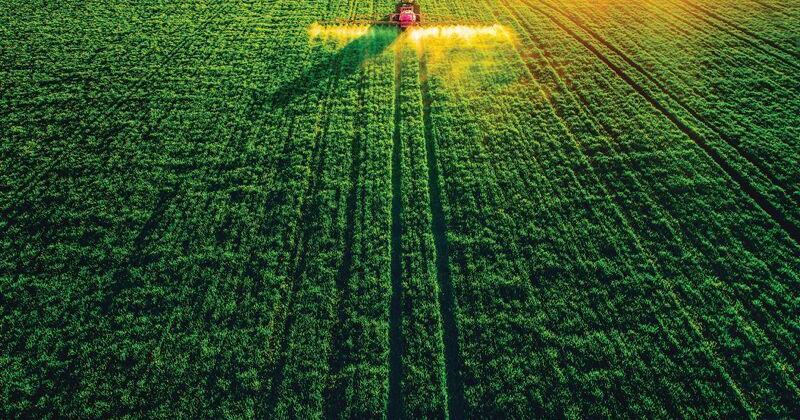 Considering Dry Weather and Temperature When Applying ...