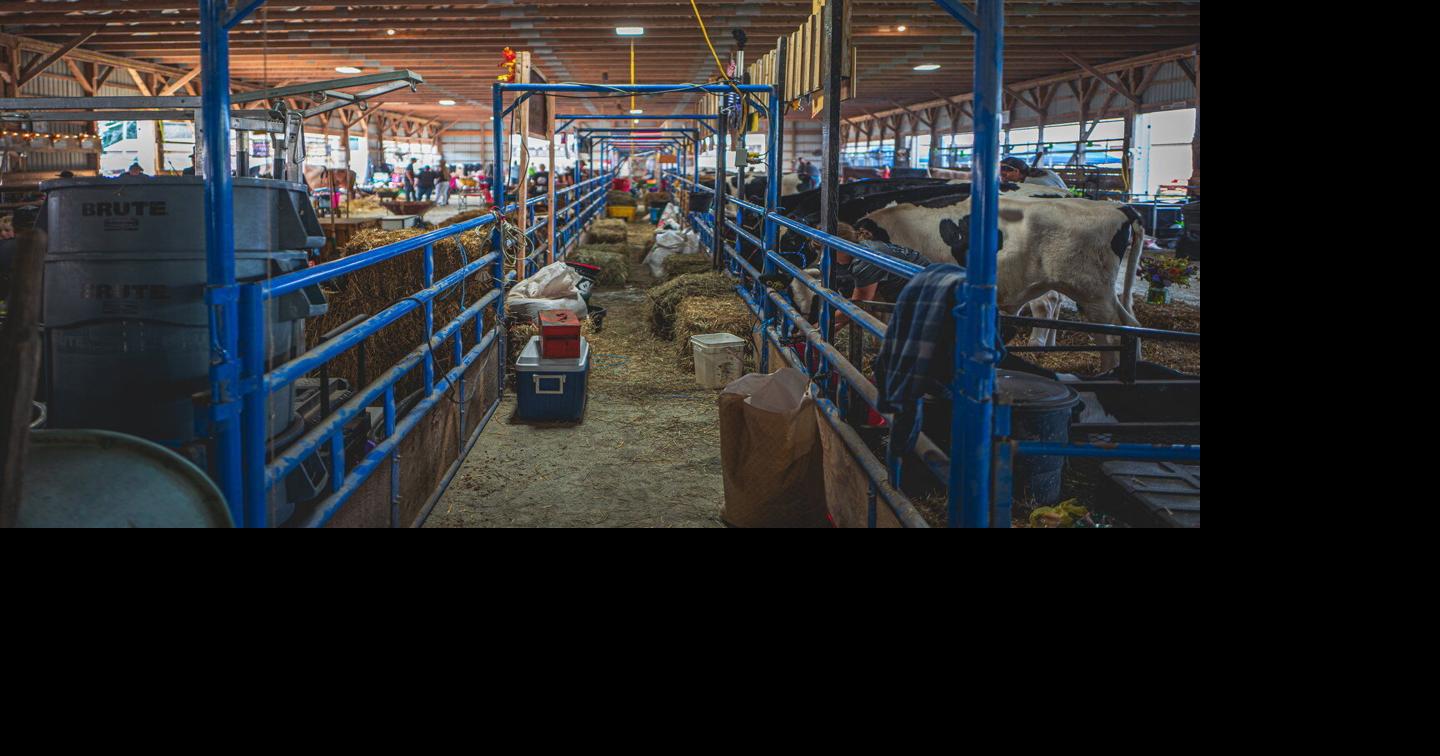 Summer Ag Fairs Draw New Audiences With Entertainment