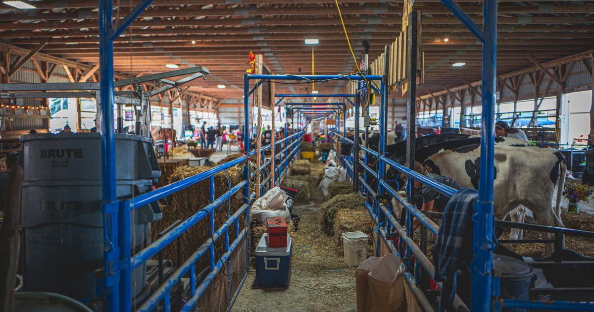 Summer Ag Fairs Draw New Audiences With Entertainment