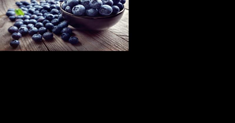 Blueberry Recipes for the Whole Family - Vimarsana News