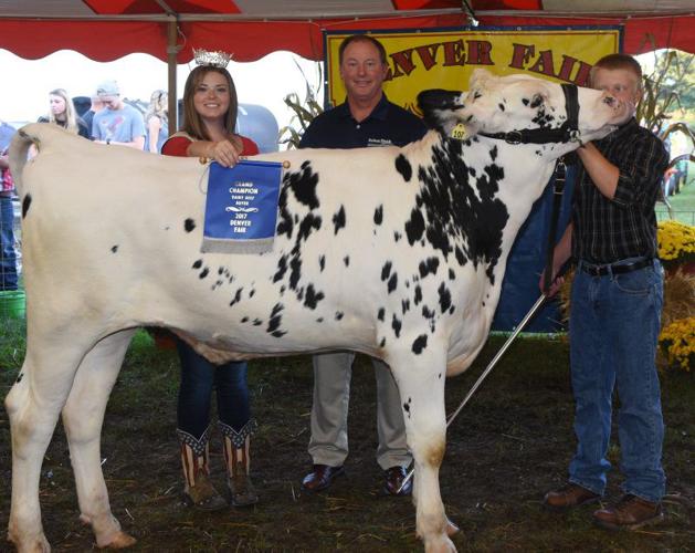 Livestock Exhibitors Profit From Denver Fair Sale Farm Shows, County