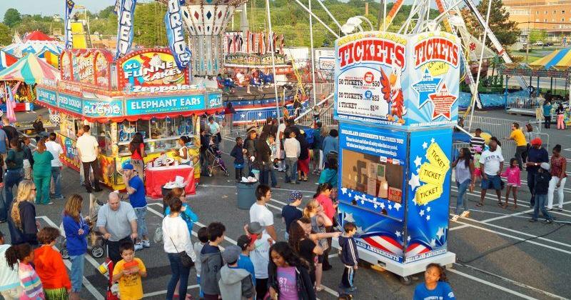 York State Fair Livestock Winners | Results ...