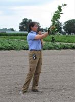 Extension Experts Offer Advice on Watermelon, Lima Beans at Crop Tour