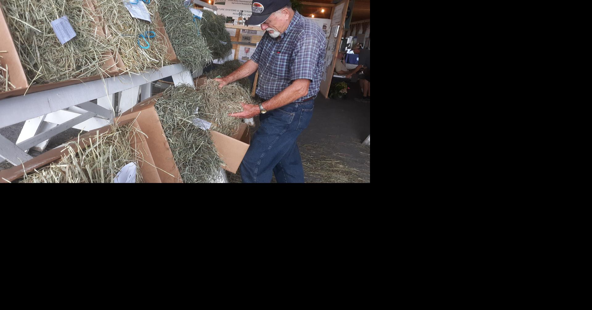 Despite Hot, Dry Summer, Hay Show Entries Up at 2022 Ag Progress Days ...
