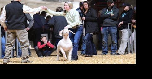Competing at PA Farm Show Inspired Teen to Pursue Agribusiness - Vimarsana News