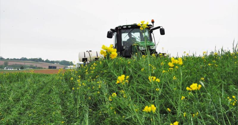 Carbon Intensity Scoring Could Drive Value for Low-Emission Farms - Vimarsana News
