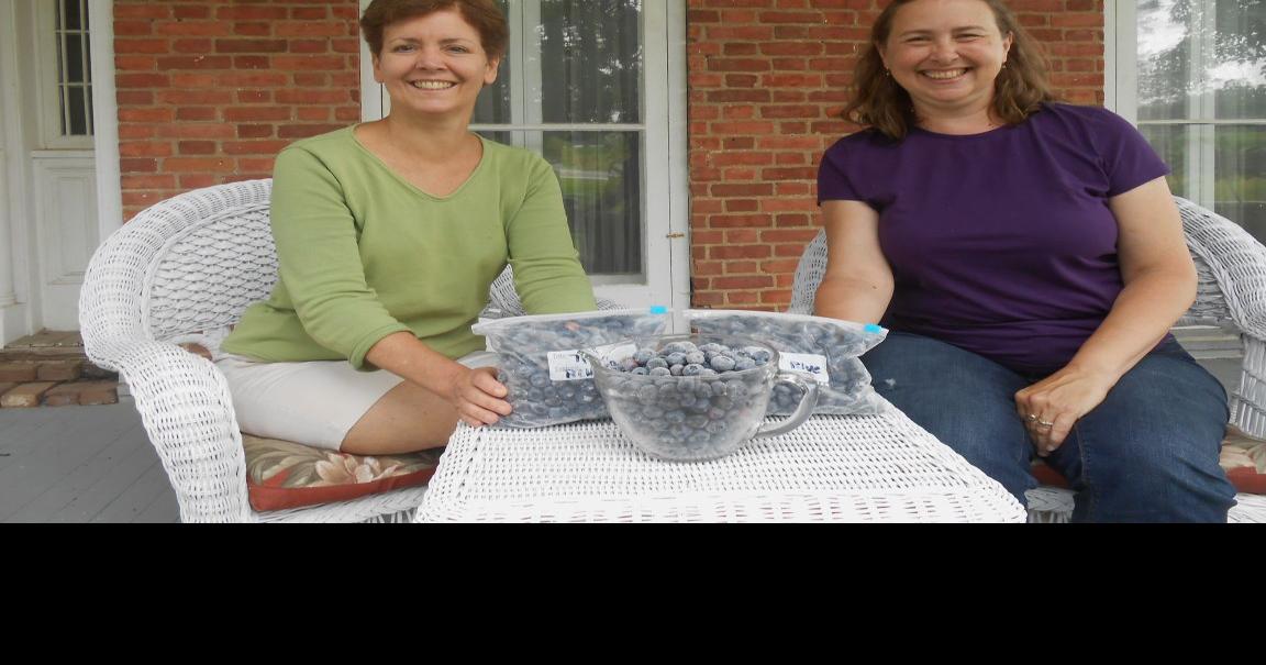 Nothing But Blueberries Farming and Agricultural News