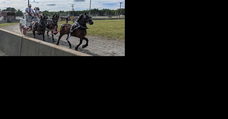 Camaraderie Shines Through at Big Butler Fair's Draft Horse Show - Vimarsana News
