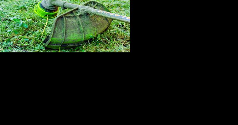 W.O.W.! | Country-life | lancasterfarming.com - Vimarsana News