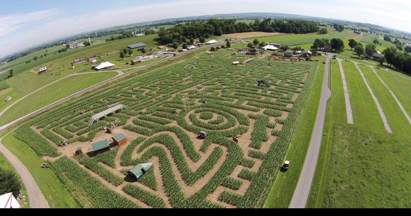 What you need to build a corn maze in paradise | Agricultural and Agricultural News | lancasterfarming.com