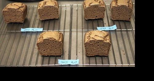 Sorghum Bran Rises as an Ingredient for Enhancing Gluten-Free Bread - Vimarsana News