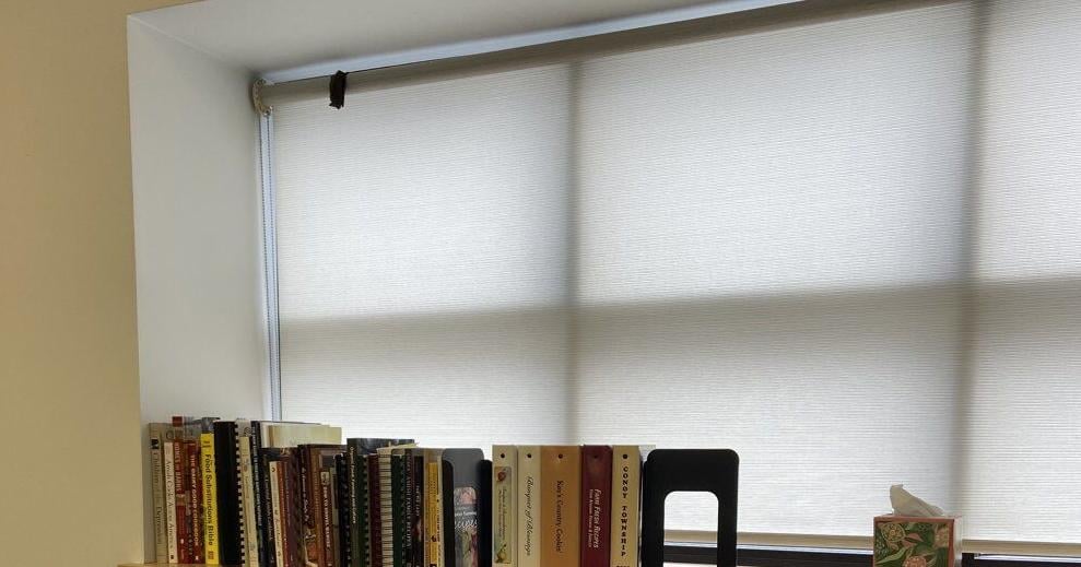 What Happens When There Is a Bat in the Office? [Opinion]
