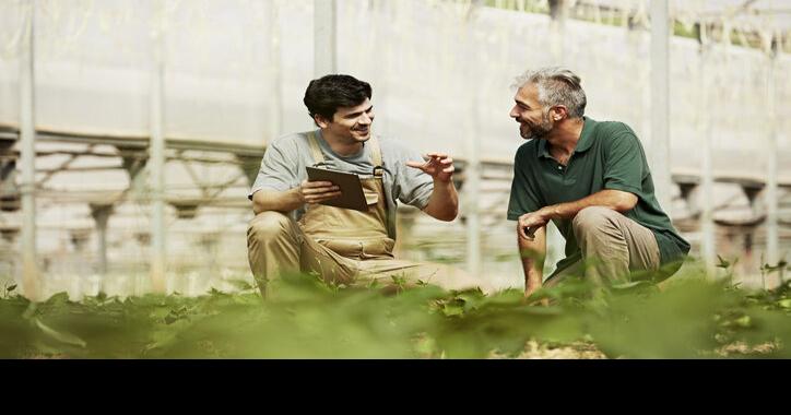 Communication, Good Records Key to Averting Greenhouse Cash Crunch | Agriculture Business & Agritourism News