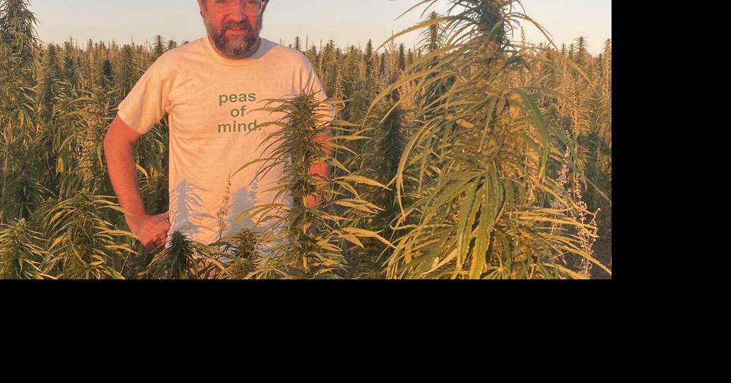 Podcast What Is Industrial Hemp and Why Is It Important? Hemp