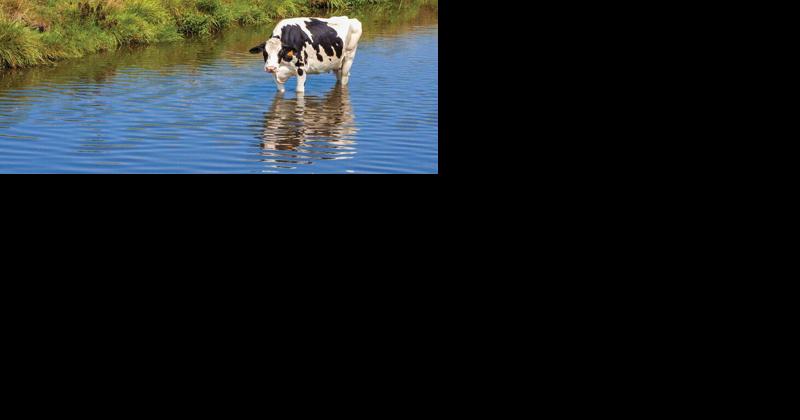 New Pennsylvania Laws Will Head Off Nutrient Runoff - Vimarsana News