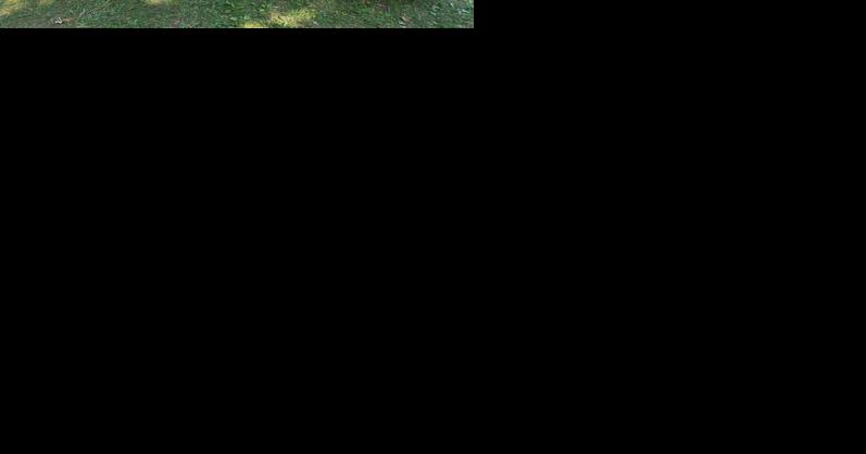 75 Years of Fun at the Oley Fair - Vimarsana News