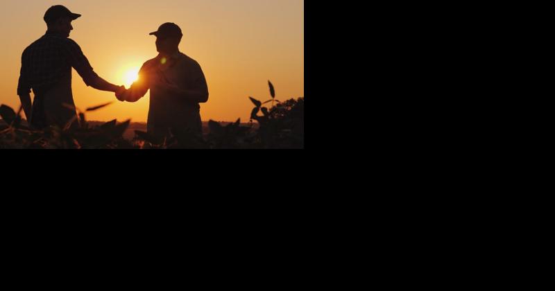 What Jonathan and David Can Teach Us About Friendships - Vimarsana News