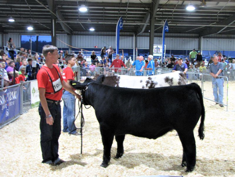 Livestock Extravaganza Highlights 100th State Fair | Farm Shows & County Fairs ...