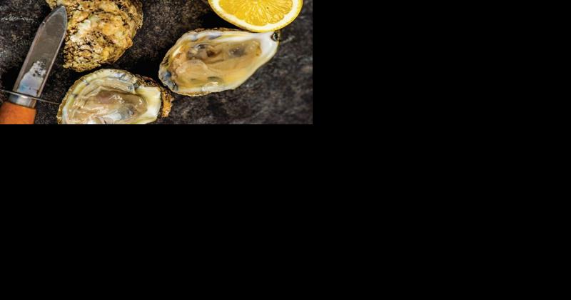 New Jersey Advances Right to Farm, Sunday Harvest for Aquaculture - Vimarsana News