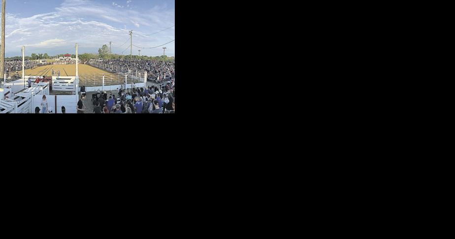 Cowtown Rodeo Still A Hit After All These Years - Vimarsana News