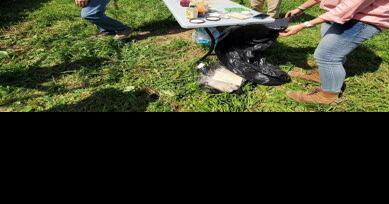 Bridging the Gap Between Soil Health and Human Health - Vimarsana News