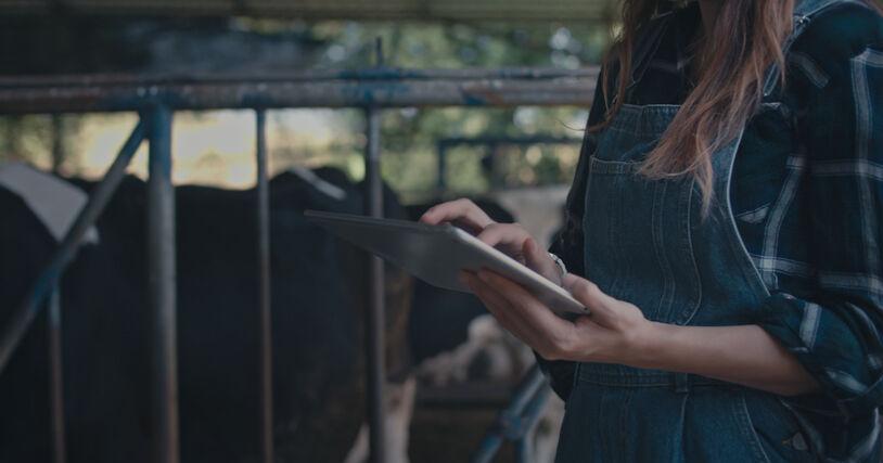 AI in Dairy Farming