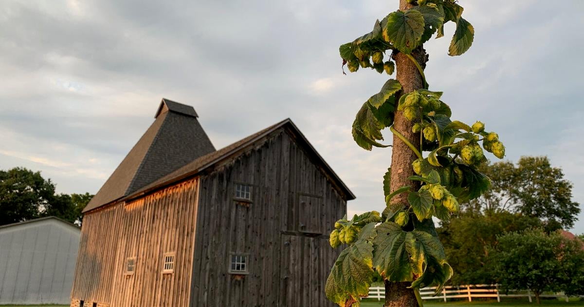 Family-Run Farm Resort Inspired By European Travel | Agriculture Business & Agritourism News Family-Run Farm Resort Inspired By European Travel | Agriculture Business & Agritourism News