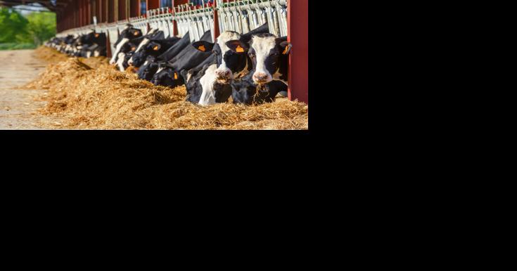 Farmers Ask Pennsylvania Milk Marketing Board to Kill Over-Order Premium - Vimarsana News