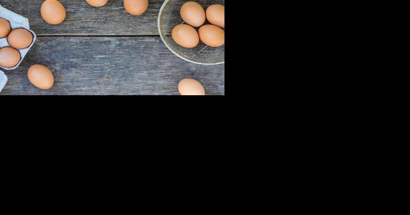 Recommendations and Rules for Selling Eggs at Small Farm Stands - Vimarsana News