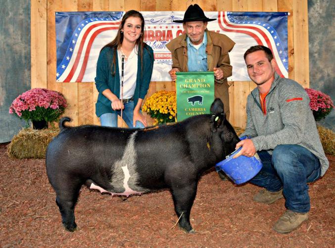Cambria County Posts Livestock Results Farm Shows, County Fairs