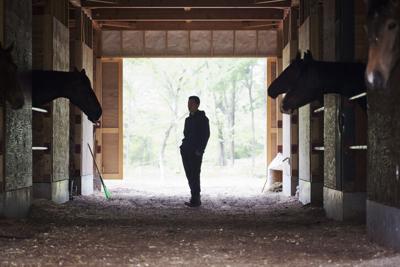 Man working in the horse stables
