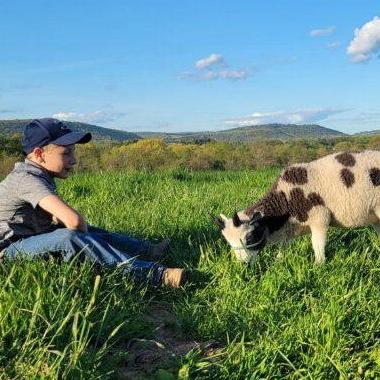Siblings Spend Summer Prepping Animals for Fall Livestock Shows - Vimarsana News