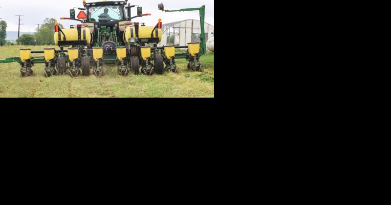 'This Is the Riskiest Year': Grain Farmers Planting Despite High Costs | Farming News for Corn, Soybeans, Wheat and more - Vimarsana News