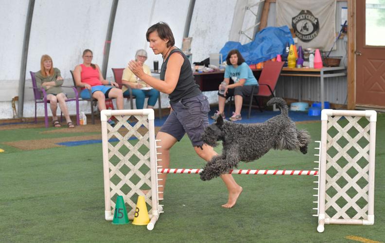 Rocky Creek Dog Agility 2.jpg