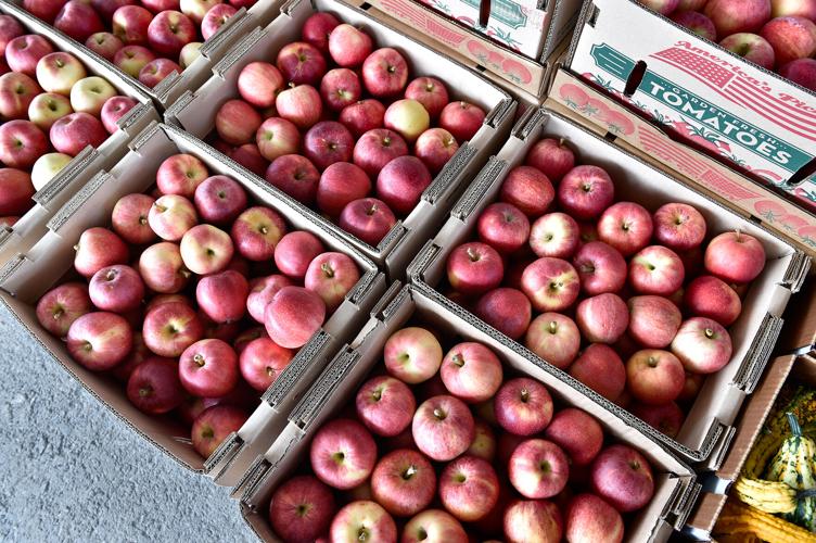 A day at Weaverland and Leola produce auctions [photo slideshow