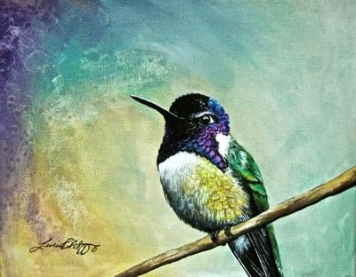 Artist Leslie Mccarthy Is Painting Hummingbirds To Give Wings To