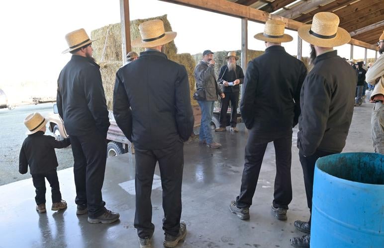 Oxford Produce Auction sells straw, hay and produce [photos