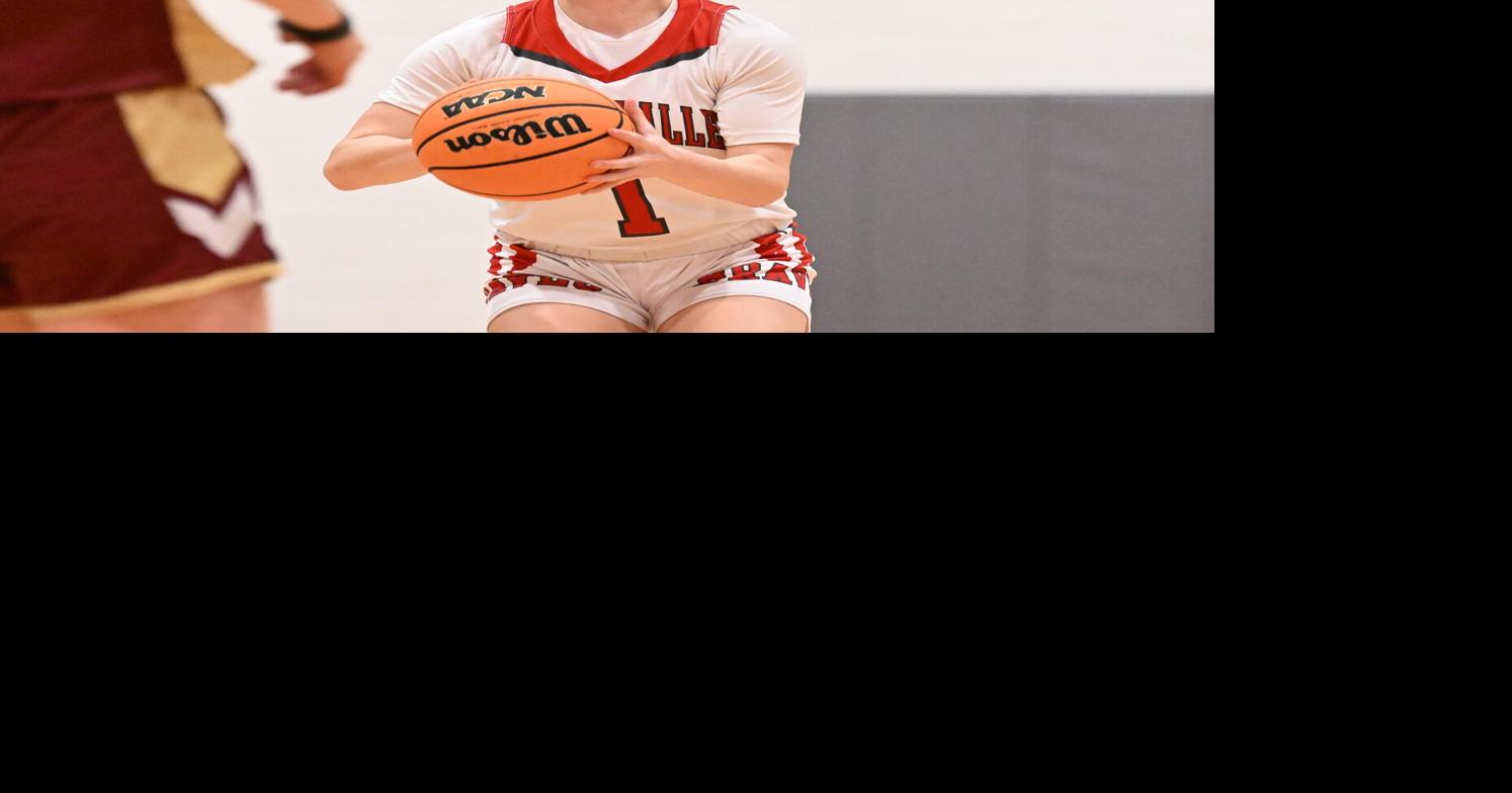 Four L-L League, CCAC players are named to PA Sports Writers girls basketball All-State team