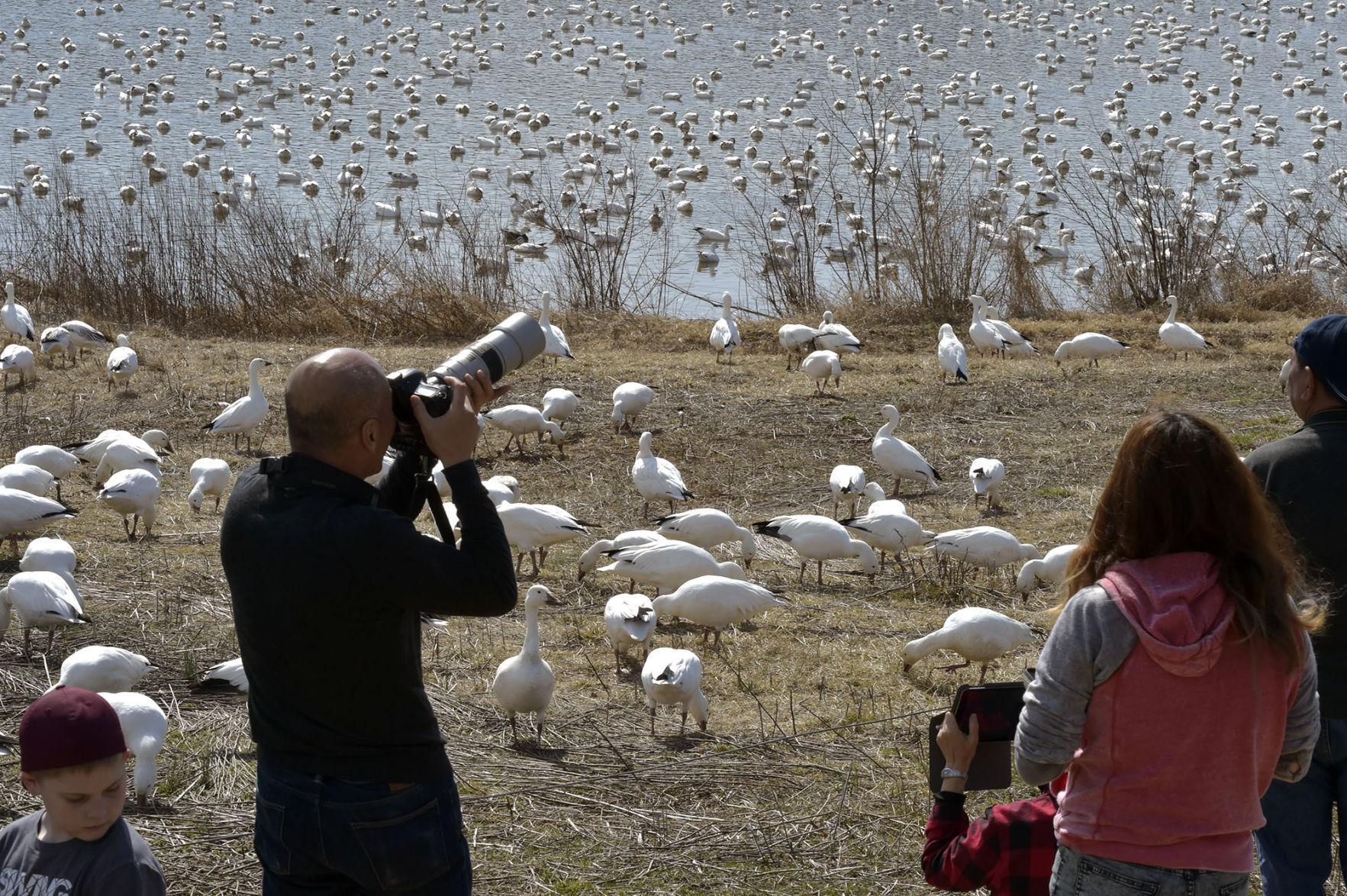 Lancaster County has 6 of top 100 birdwatching spots in Pennsylvania