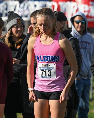 2025 PIAA cross country championships [photos] | High School Cross ...