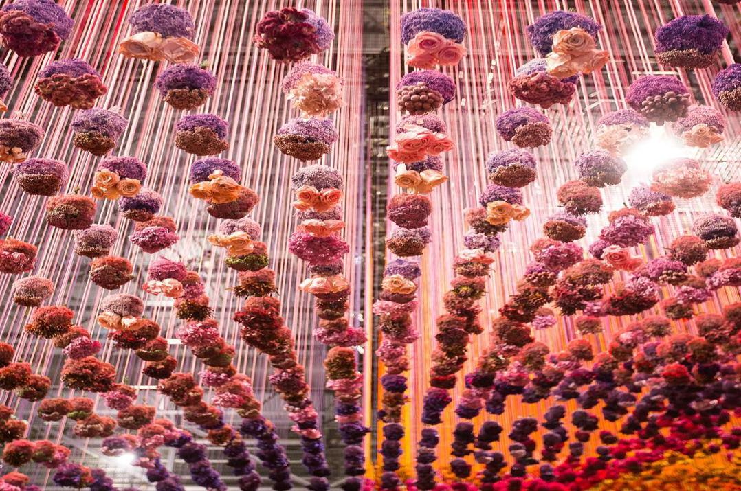Philadelphia Flower Show 2023 shifts back to a wintertime indoor oasis