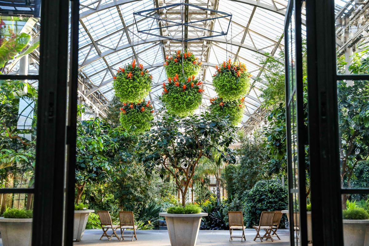 Longwood Gardens Orchid Extravaganza Returns Saturday With More