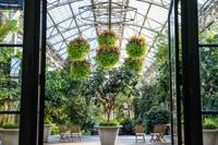 Longwood Gardens' Orchid Extravaganza returns Saturday with more than 7,000 orchids
