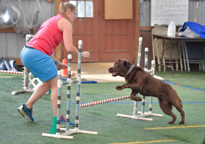 Rocky Creek Dog Agility 3.jpg