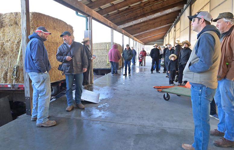 Oxford Produce Auction sells straw, hay and produce [photos