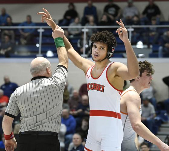 District 3 South Central regional Class 3A wrestling tournament [photos ...