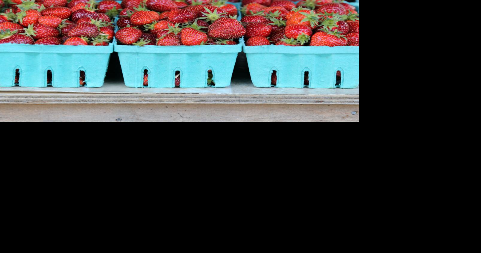 Here's where to pick your own strawberries in Lancaster County this