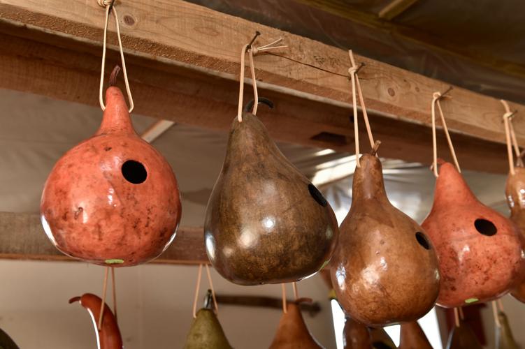 'Tis the season for decorative gourds, Lancaster County Life